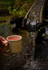 A forest spring in the woods with a camping cap