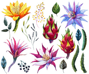 Beautiful set with watercolor hand drawn tropical flowers. Stock clip art illustration.