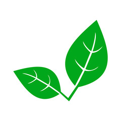 Green natural leaf. leaf icon shapes in modern flat style