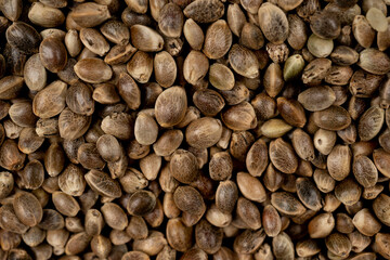 Hemp seeds background in macro shoot