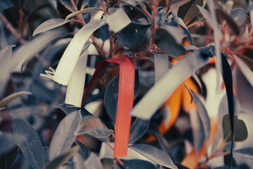 ribbons on a wish tree
