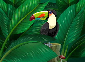 Toucan hidden in the tropical leaves background
