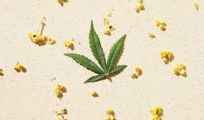Cannabis leaf and yellow dried flowers flat lay. Alternative medicine. Medical marijuana. CBD oil...