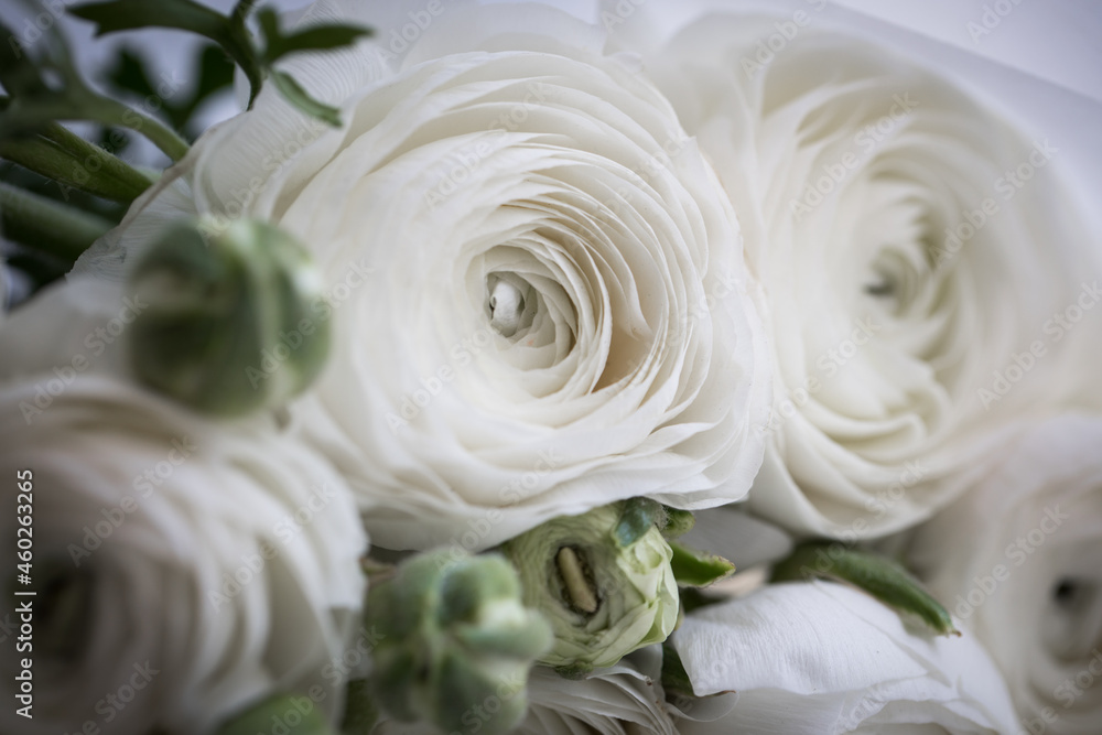 Wall mural White flowers