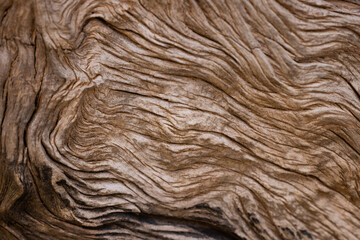 old timber texture close up