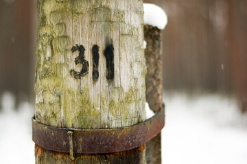 A close up of a numbered telephone pole in the middle of the woods