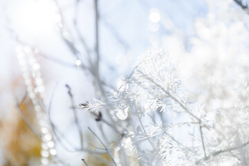 white decor on the holiday close-up. small artificial hydrangea flowers on a blue sky background on a sunny day. Wedding ceremony on the street on the green lawn.