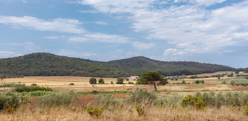 Province of Grosseto, Tuscany, Italy - July 27, 2021: Landscape in Maremma, the  coastal area of western central Italy, bordering the Tyrrhenian Sea.