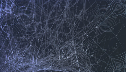 Dark vector background with spider web.