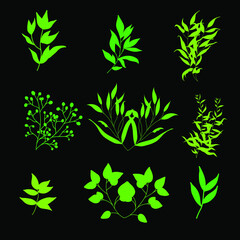 herb and leaf icons and symbol