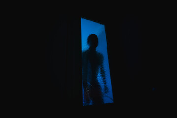 A blurred silhouette in the dark behind the glass.