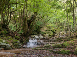 兵庫県・小代区渓谷美