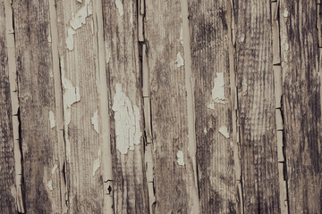 old wooden surface close up