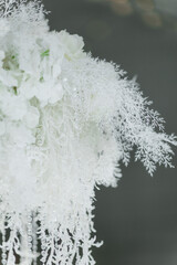 White floral arrangement in the center of the table. The interior of the restaurant for a wedding dinner. The concept of public catering.