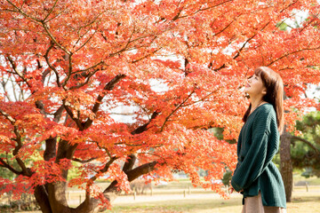 美しい日本女性