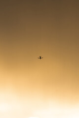 Airplane in the sunset sky. Airplane in flight