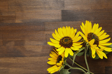 group of sunflowers on wooden background