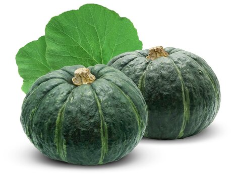 カボチャ Images Browse 25 930 Stock Photos Vectors And Video Adobe Stock