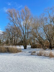 Spazieren am geforeren Heiligen See in Potsdam im Winter