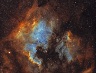 Fototapeta na wymiar The North America and Pelican Nebulae (NGC7000 & IC5070 )