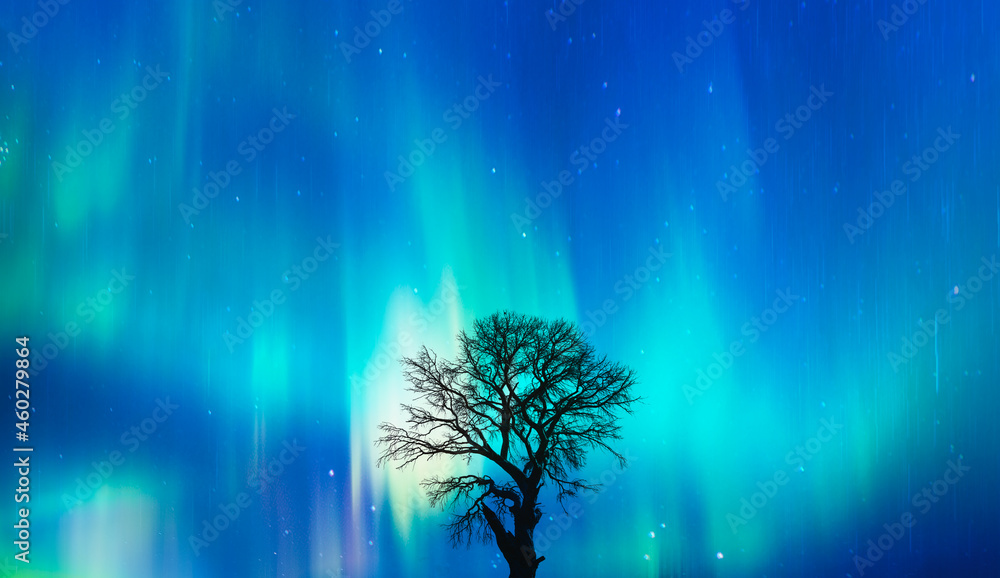 Poster beautiful landscape with lone tree, aurora borealis in the background