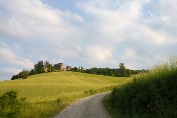 Rural landscape near Pianello Val Tidone and Agazzano, Emilia-Romagna, at May