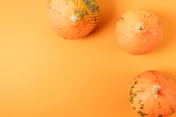 Autumn composition with organic pumpkins
