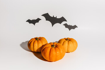 Fototapeta premium Fresh ripe orange pumpkin on white background. Space with bats Halloween concept