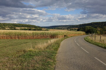 Fototapeta na wymiar Road and late summer cornfield in northern France, right before the harvest 