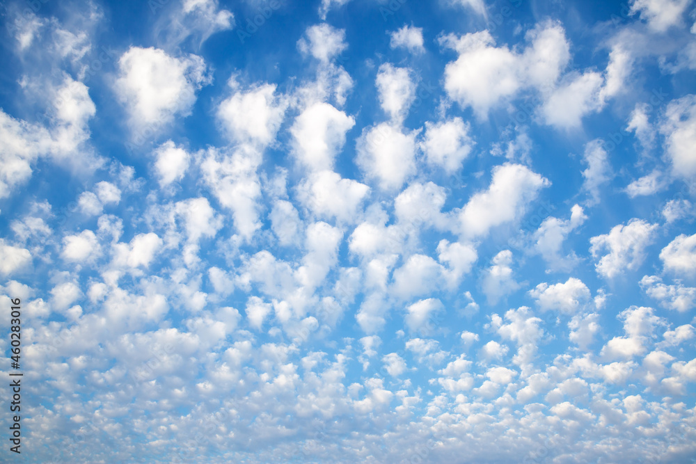 Canvas Prints sky with clouds