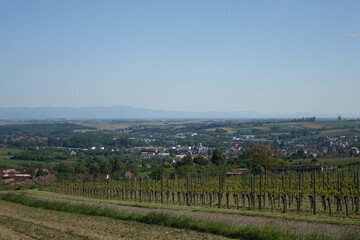 Fototapeta na wymiar Scenic view on Schweigen-Rechtenbach from the vineyards with Bienwald Forest, Rhine valley and Black Forest in the background 
