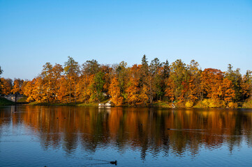 Obraz premium autumn colors in the park