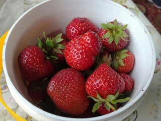 Strawberry