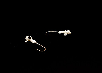 Two jig head hooks with round walleye isolated on black background