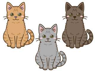 色々な毛色の猫（トラ猫）