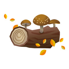 きのこ　秋の恵み