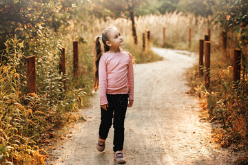 Portrait of a little girl on the background of the autumn park.