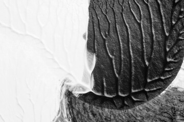 black white abstract acrylic painting color texture on white paper background by using rorschach inkblot method