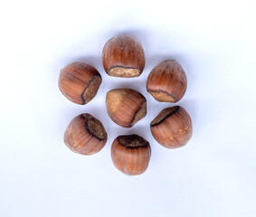 hazelnut