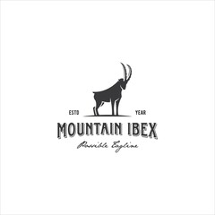 Goat Ibex Logo Design Vector Image