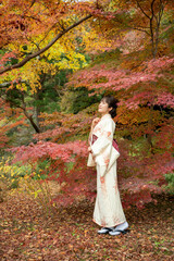 美しい日本女性