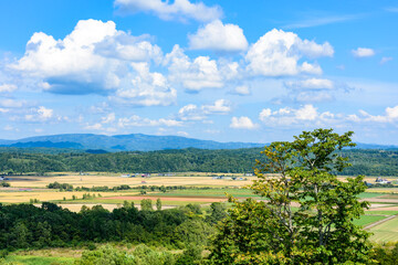 Obraz premium 萌の丘 素晴らしい道央の穀倉地帯を望む