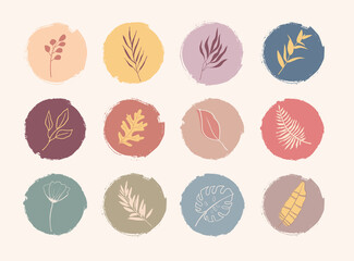 Highlight covers set for social media stories. Vector icons with hand drawn leaves and flowers