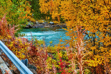 Obraz premium Rushing river in northern Sweden that flows through autumn-colored forests.