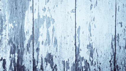 texture background of wooden with tone winter color
