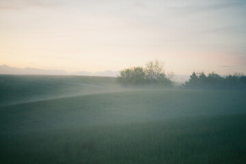 Morning fog lying over the rolling hills 