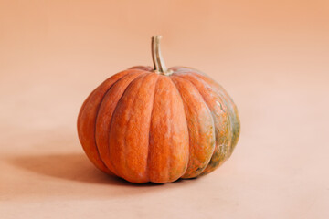 halloween pumpkin on a solid background