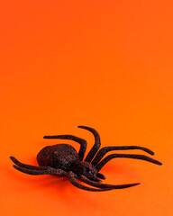 One big black horror spider on orange backdrop with copy space. Halloween decoration spooky background concept for holidays