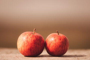 Two lovely apple in nature, love, fruit