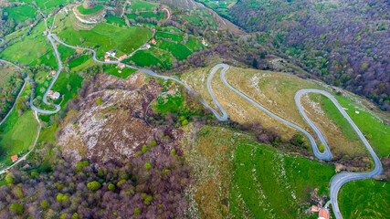 carretera de rally verde